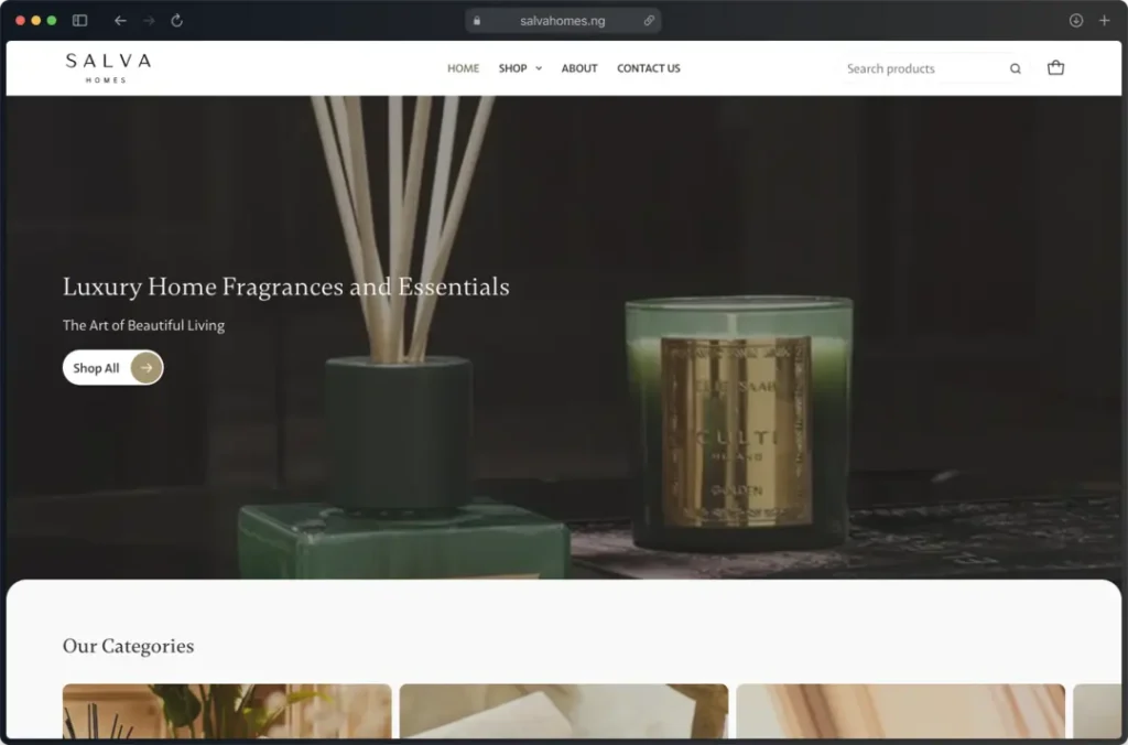 Salva Homes website snapshot